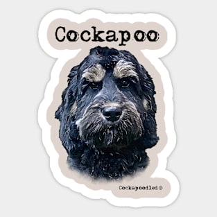 Phantom Cockapoo / Spoodle and Doodle Dog Sticker